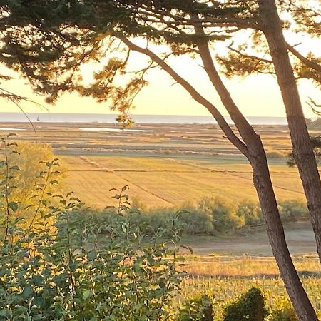 Villa Vieilles Vignes Vue Mer Billiers المظهر الخارجي الصورة