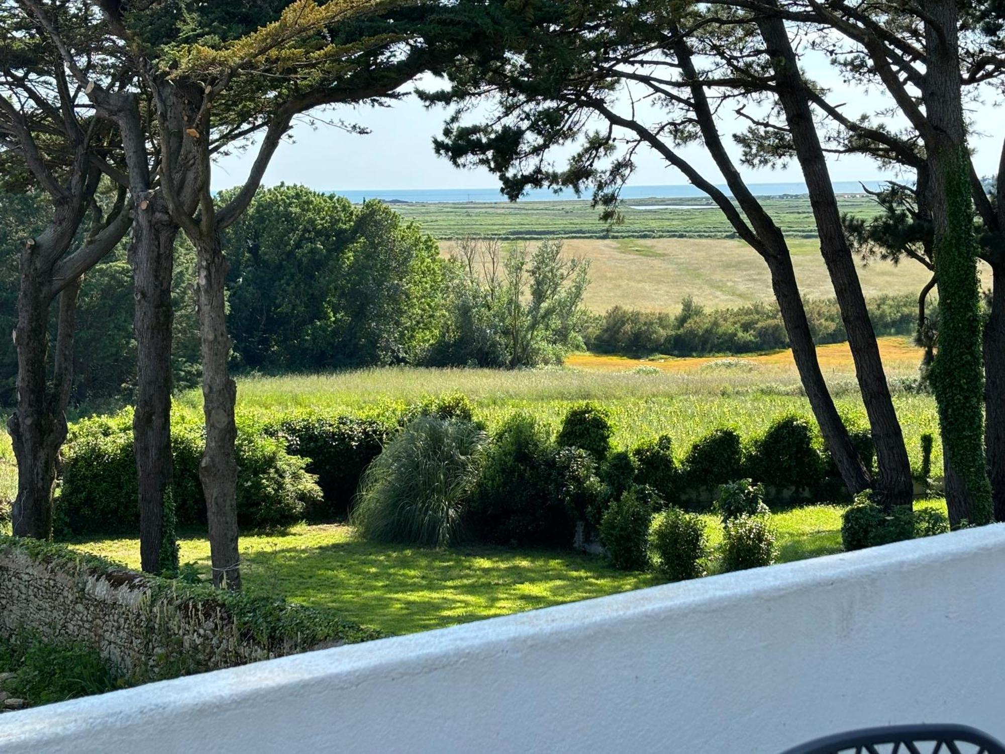Villa Vieilles Vignes Vue Mer Billiers المظهر الخارجي الصورة